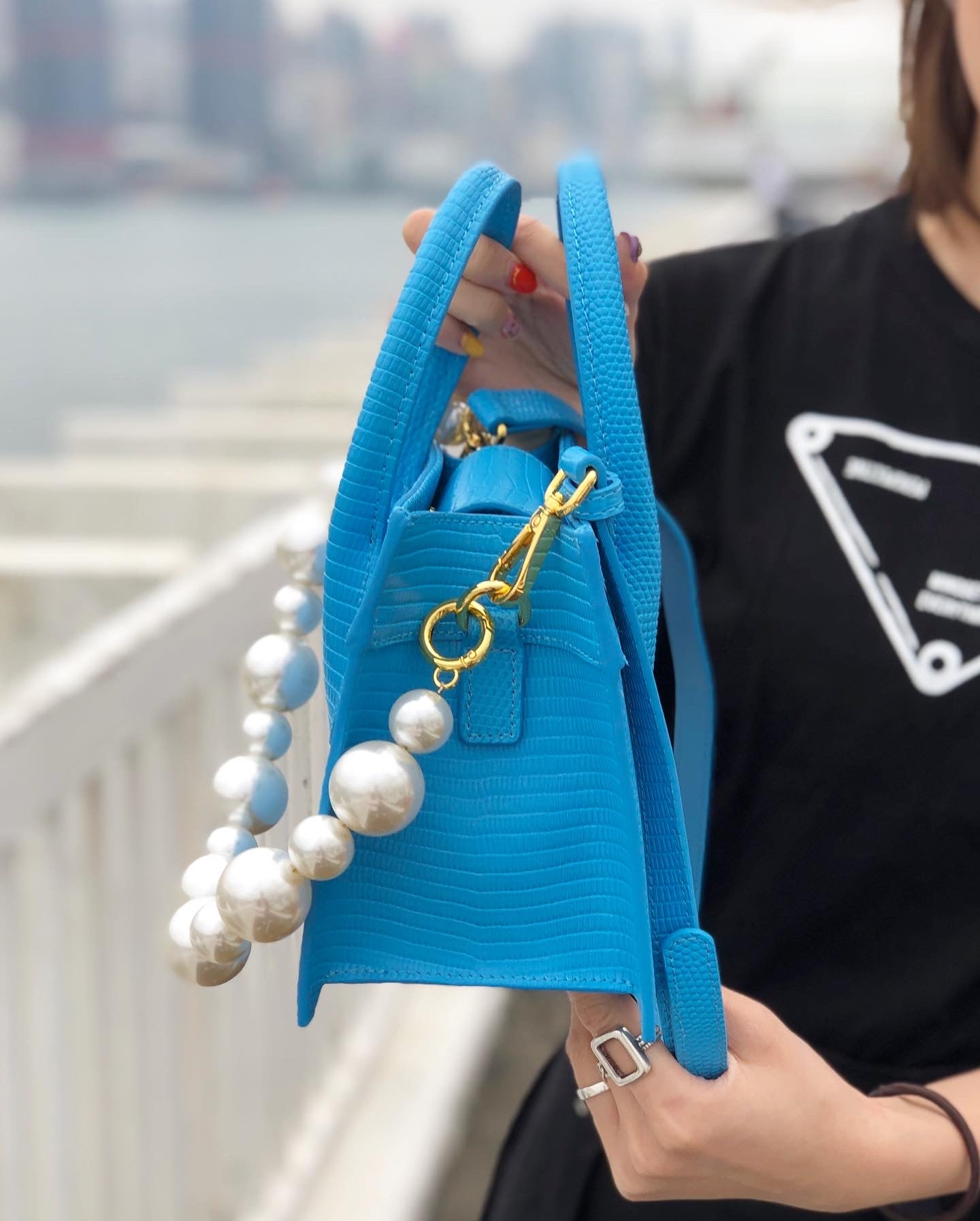 Pearl Chain Bag